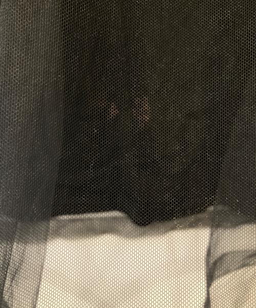 Chika Kisada（チカ キサダ）Chika Kisada (チカ キサダ) 別注チュールトップス CT-22015 ブラック サイズ:2の古着・服飾アイテム