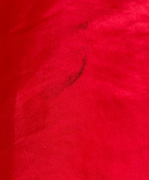 NIKE（ナイキ）NIKE (ナイキ) ナイロンジャケット レッド サイズ:Mの古着・服飾アイテム