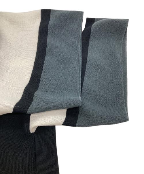CECL（シーエフシーエル）CECL (シーエフシーエル) TC GARTER SHORT SLEEVE TEE SHIRT（TCガーター半袖Tシャツ）　CF007KN193 ブラック サイズ:Freeの古着・服飾アイテム