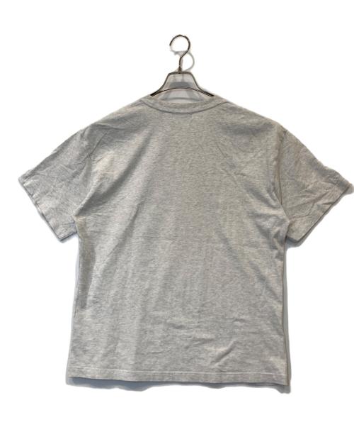 X-LARGE（エクストララージ）X-LARGE (エクストララージ) プリントTシャツ　101223011012 ライトグレー サイズ:Lの古着・服飾アイテム