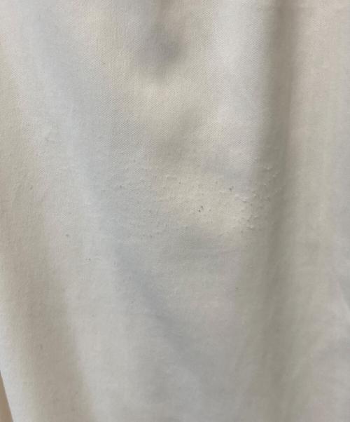 Snidel（スナイデル）Snidel (スナイデル) ラッフルフリルティアードスカート SWFS255034 アイボリー サイズ:1の古着・服飾アイテム