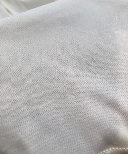 Snidel（スナイデル）Snidel (スナイデル) ラッフルフリルティアードスカート SWFS255034 アイボリー サイズ:1の古着・服飾アイテム