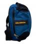 SALOMON（サロモン）の古着「ACS WAIST PACK 3 エーシーエス ウエスト パック スリー SBFW2410011」｜ブルー