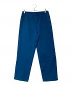 THE NORTH FACEザ ノース フェイス）の古着「Diversity Trail Pant ダイバーシティ トレイル パンツ NB32531」｜ブルー