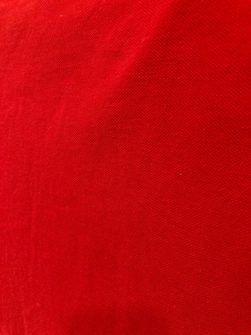 POLO RALPH LAUREN（ポロ・ラルフローレン）POLO RALPH LAUREN (ポロ・ラルフローレン) BIGポニーUSAロゴポロシャツ レッド サイズ:XSの古着・服飾アイテム