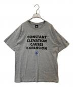stussyステューシー）の古着「プリントTシャツ」｜グレー