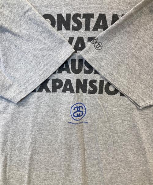 stussy（ステューシー）stussy (ステューシー) プリントTシャツ グレー サイズ:Mの古着・服飾アイテム