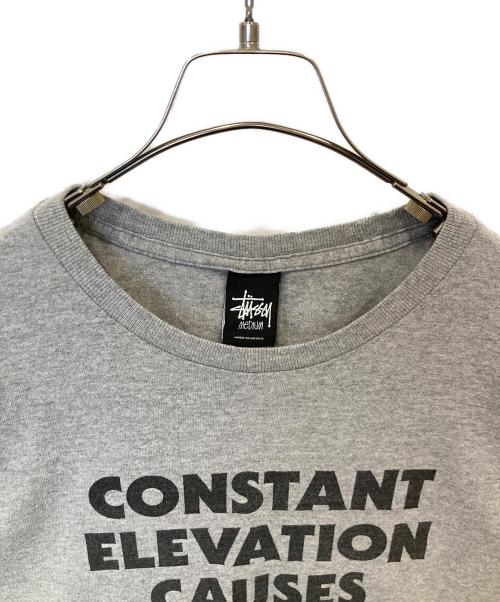 stussy（ステューシー）stussy (ステューシー) プリントTシャツ グレー サイズ:Mの古着・服飾アイテム