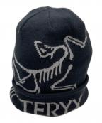 ARC'TERYXアークテリクス）の古着「Bird Word Toque/ニットキャップ X000006644-0424X000006644」｜グレー