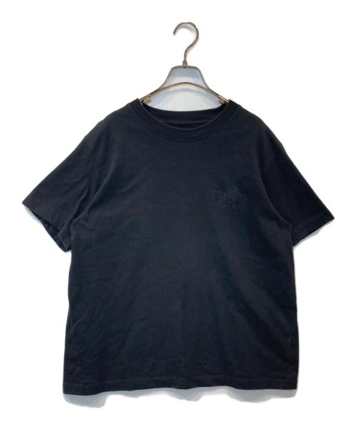 ARC'TERYX（アークテリクス）ARC'TERYX (アークテリクス) クラッグコットンリトルバードクルー ショートスリーブ　X000008468 ブラック サイズ:Mの古着・服飾アイテム