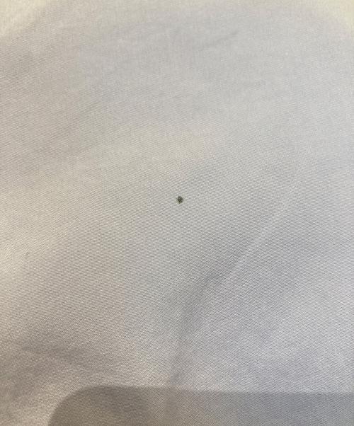 LOEFF（ロエフ）LOEFF　 (ロエフ) コットン ブロード レギュラーカラー シャツ　8811-250-0010 ラベンダーの古着・服飾アイテム