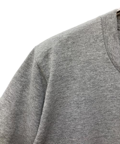 SANTA CRUZ（サンタクルーズ）SANTA CRUZ (サンタクルーズ) 00'sヴィンテージTシャツ グレー サイズ:Ｍの古着・服飾アイテム