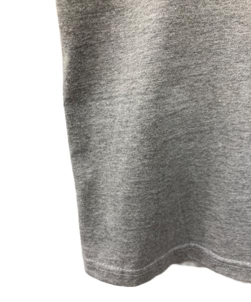 SANTA CRUZ（サンタクルーズ）SANTA CRUZ (サンタクルーズ) 00'sヴィンテージTシャツ グレー サイズ:Ｍの古着・服飾アイテム