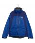 THE NORTH FACE（ザ ノース フェイス）の古着「ゴアテックスマウンテンパーカー」｜ブルー