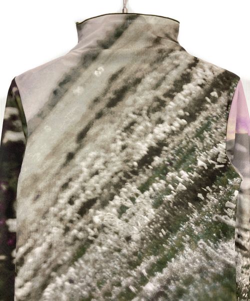 AMeLIE（アメリ）AMeLIE (アメリ) CAMILA SHEER CUT TOP　カミラ シアーカットトップ グリーン サイズ:FREEの古着・服飾アイテム