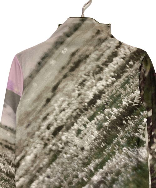 AMeLIE（アメリ）AMeLIE (アメリ) CAMILA SHEER CUT TOP　カミラ シアーカットトップ グリーン サイズ:FREEの古着・服飾アイテム