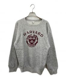 Champion（チャンピオン）の古着「80’s ラグランスウェット」｜グレー