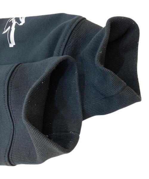 NIKE ACG（ナイキエーシージー）NIKE ACG (ナイキエージーシー) NRG SS VOLCANO L/S TEE. ブラック サイズ:Mの古着・服飾アイテム