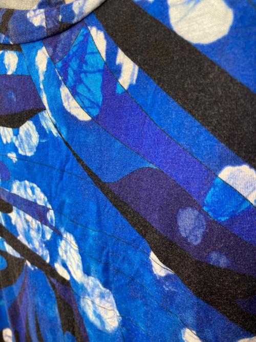 Emilio Pucci（エミリオ プッチ）Emilio Pucci (エミリオ プッチ) ロングスリーブカットソー ブルー サイズ:SIZE 42の古着・服飾アイテム