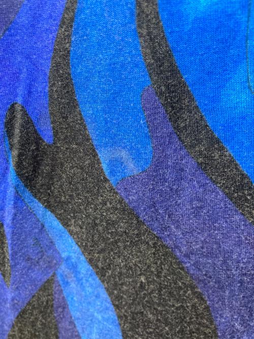 Emilio Pucci（エミリオ プッチ）Emilio Pucci (エミリオ プッチ) ロングスリーブカットソー ブルー サイズ:SIZE 42の古着・服飾アイテム