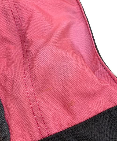 GREGORY（グレゴリー）GREGORY (グレゴリー) BEAMS BOY (ビームスボーイ) 別注 VINTAGE DAY PACK ピンクの古着・服飾アイテム