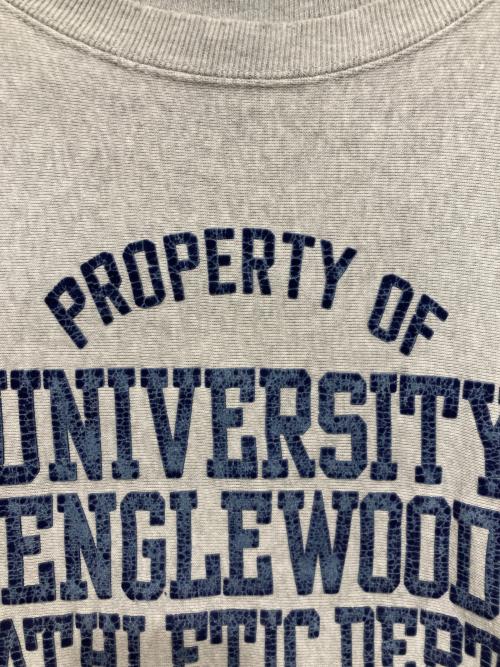 cheswick（チェスウィック）cheswick (チェスウィック) フロッキープリントスウェット グレー サイズ:Mの古着・服飾アイテム