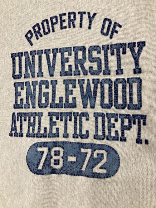 cheswick（チェスウィック）cheswick (チェスウィック) フロッキープリントスウェット グレー サイズ:Mの古着・服飾アイテム