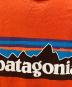 Patagoniaの古着・服飾アイテム：4000円