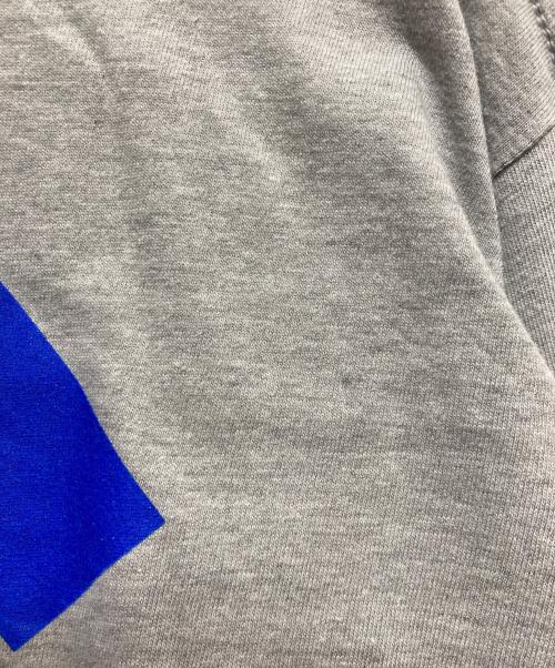 stussy（ステューシー）stussy (ステューシー) ロングスリーブカットソー グレー サイズ:Lの古着・服飾アイテム