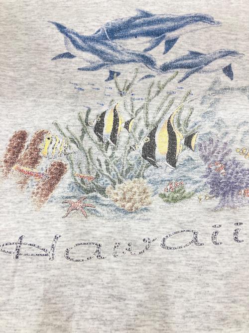 TULTEX（タルテックス）TULTEX (タルテックス) プリントTシャツ グレー サイズ:XLの古着・服飾アイテム