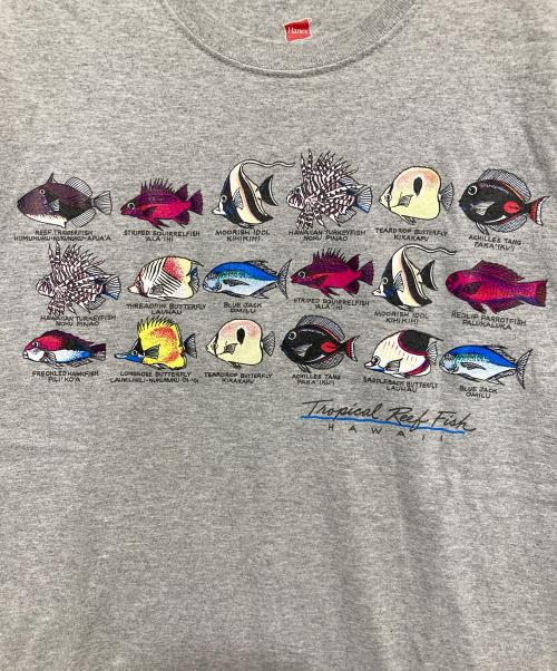 Hanes（ヘインズ）Hanes (ヘインズ) 熱帯魚プリントTシャツ グレー サイズ:Sの古着・服飾アイテム