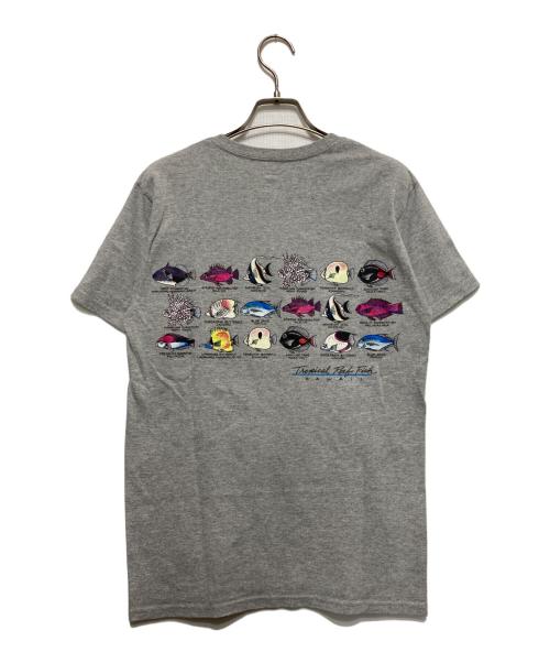 Hanes（ヘインズ）Hanes (ヘインズ) 熱帯魚プリントTシャツ グレー サイズ:Sの古着・服飾アイテム