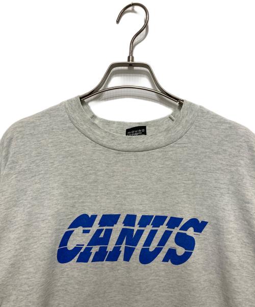 FRUIT OF THE LOOM（フルーツオブザルーム）FRUIT OF THE LOOM (フルーツオブザルーム) プリントTシャツ グレー サイズ:XXLの古着・服飾アイテム