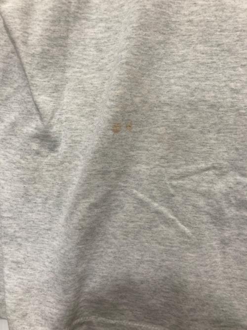 FRUIT OF THE LOOM（フルーツオブザルーム）FRUIT OF THE LOOM (フルーツオブザルーム) プリントTシャツ グレー サイズ:XXLの古着・服飾アイテム