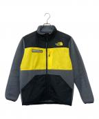 THE NORTH FACEザ ノース フェイス）の古着「STEEP TECH Zip Fleece」｜グレー