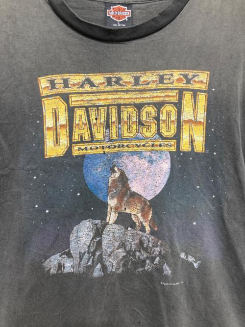 HARLEY-DAVIDSON（ハーレーダビッドソン）HARLEY-DAVIDSON (ハーレーダビッドソン) プリントTシャツ グレー サイズ:Lの古着・服飾アイテム