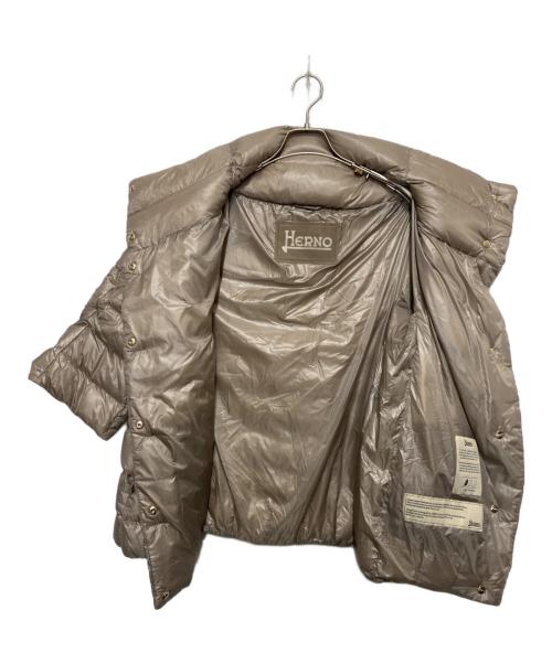 HERNO（ヘルノ）HERNO (ヘルノ) SOFIA ダウンジャケット グレー サイズ:42の古着・服飾アイテム