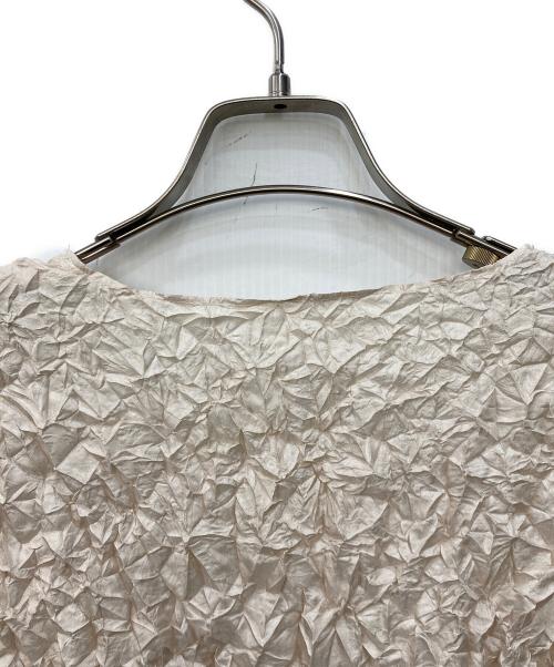 井上プリーツ（イノウエプリーツ）井上プリーツ (イノウエプリーツ) シワ加工カットソー ベージュ サイズ:不明の古着・服飾アイテム