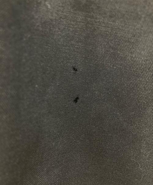 Jean Paul Gaultier homme（ジャンポールゴルチェオム）Jean Paul GAULTIER HOMME (ジャンポールゴルチェオム) リネンセットアップ ブラック サイズ:48の古着・服飾アイテム