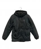 ARC'TERYXアークテリクス）の古着「NUCLEI SV PARKA」｜グレー