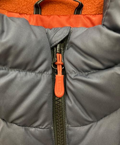 L.L.Bean（エルエルビーン）L.L.Bean (エルエルビーン) DOWN TEK ダウンベスト グレー サイズ:Ｌの古着・服飾アイテム