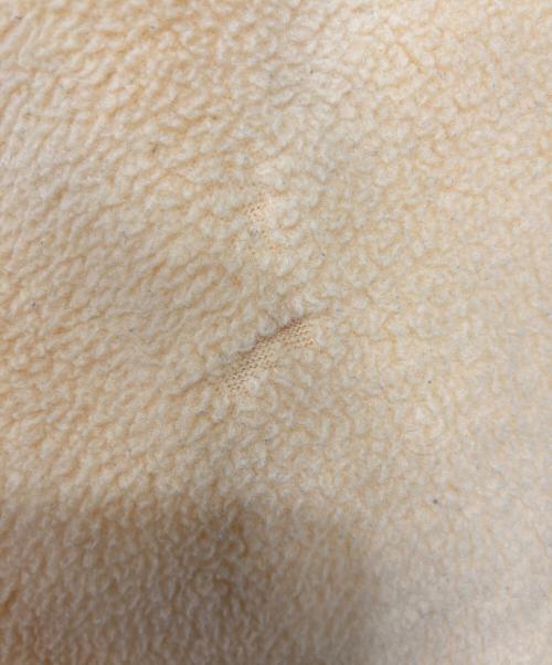 Patagonia（パタゴニア）Patagonia (パタゴニア) 90’sシンチラスナップフリースプルオーバー イエロー サイズ:Mの古着・服飾アイテム