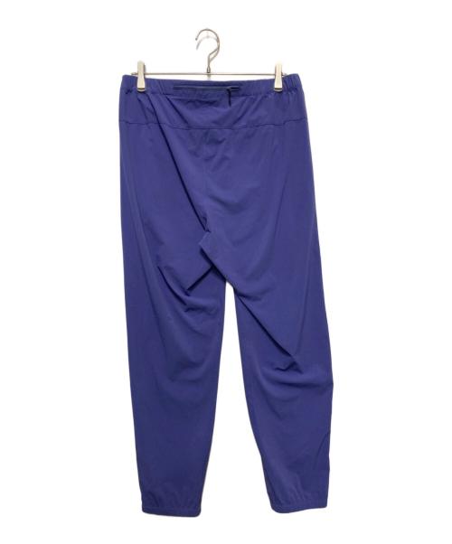 THE NORTH FACE（ザ ノース フェイス）THE NORTH FACE (ザ ノース フェイス) Flexible Ankle Pant パープル サイズ:XLの古着・服飾アイテム