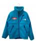 THE NORTH FACE（ザ ノース フェイス）の古着「Trans Antarctica Fleece Jacket」｜ブルー