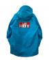 THE NORTH FACE (ザ ノース フェイス) Trans Antarctica Parka ブルー サイズ:M：30000円