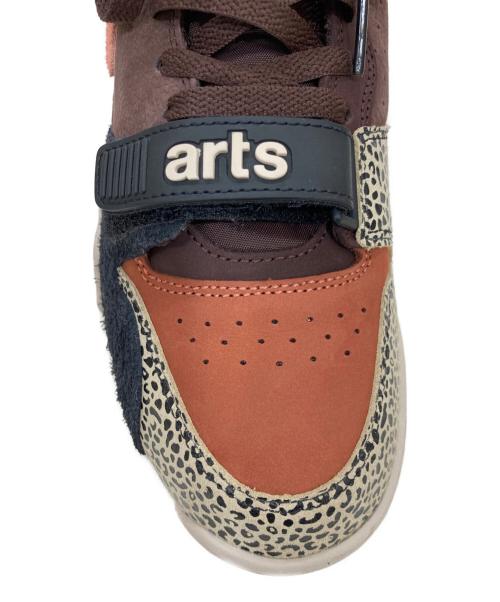 NIKE SB（ナイキエスビー）NIKE SB (ナイキエスビー) Arts Rec (アーツレック) Air Trainer 1 ブラウン サイズ:26 未使用品の古着・服飾アイテム