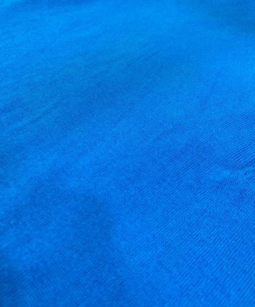 JOHN SMEDLEY（ジョンスメドレー）JOHN SMEDLEY (ジョンスメドレー) シーアイランドコットンニットポロシャツ ブルー サイズ:Ｓの古着・服飾アイテム