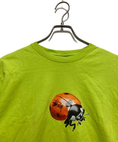 stussy（ステューシー）stussy (ステューシー) LADY ＢＵＧ ＴＥＥ グリーン サイズ:Mの古着・服飾アイテム