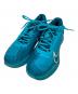 NIKE（ナイキ）の古着「Court Air Zoom Vapor 11」｜ブルー