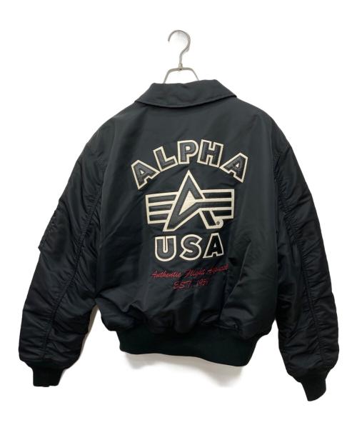 ALPHA（アルファ）ALPHA (アルファ) BACK FLYING A CORE SPEC ブラック サイズ:Lの古着・服飾アイテム